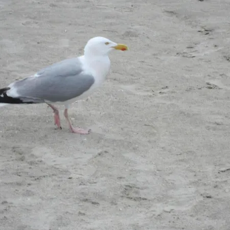 Mit Garten Und Terrasse By Interhome Tatil Evi *