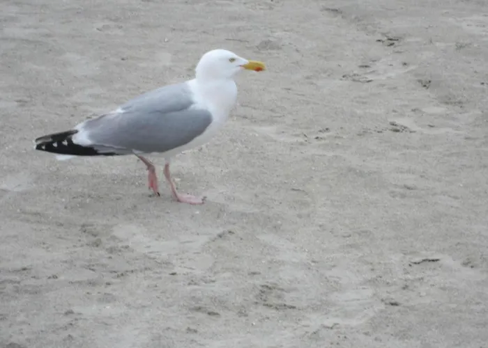 Mit Garten Und Terrasse By Interhome Tatil Evi *